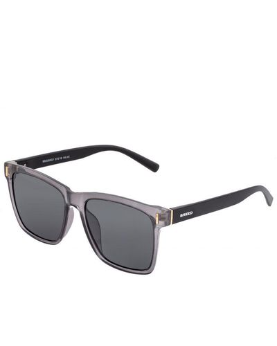 Breed Pictor Polarized Sunglasses - Grey