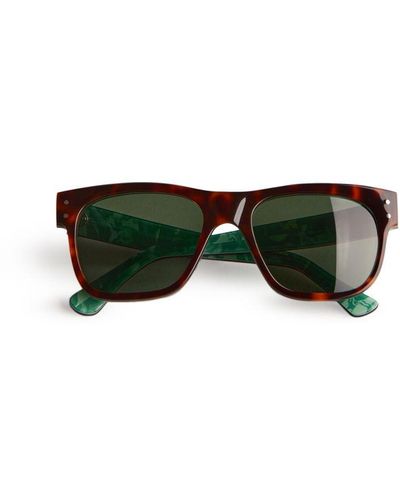 Ted Baker Lord Mib Printed Sunglasses, Tortoiseshell - Green