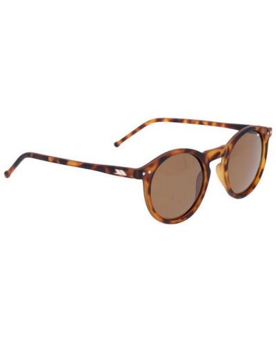 Trespass Adult Elta Sunglasses - Brown