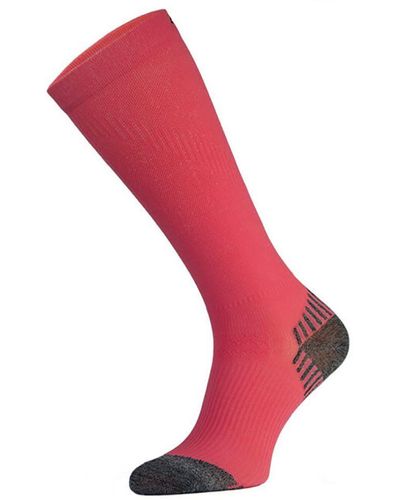 Comodo Trail Compression Running Socks - Pink