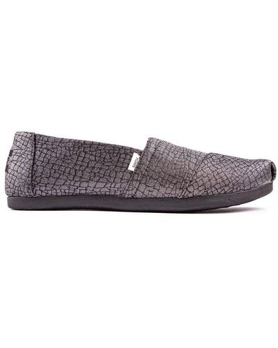 TOMS Alpargata Schoenen - Grijs