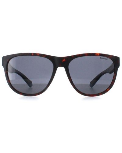 Polaroid Round Matte Havana Polarized Pld 2156/S - Blue