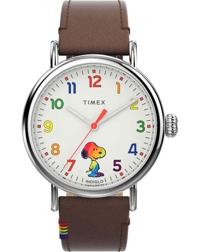 Timex Peanuts Waterbury Standard Watch Tw2W53900 Leather (Archived) - Metallic