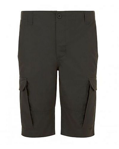 Sol's Jackson Bermuda Shorts (Umber) - Grey