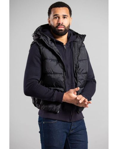 French Connection Hooded Padded Gilet - Blue