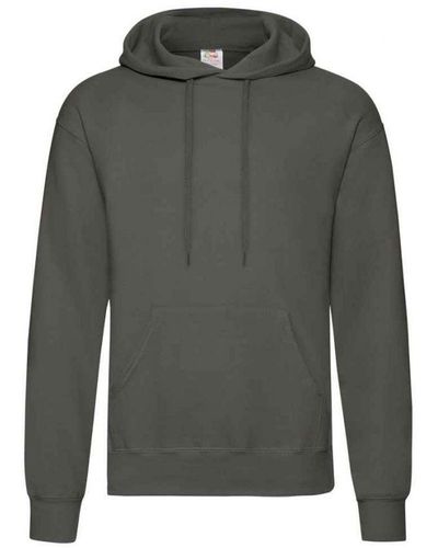 Fruit Of The Loom Adults Classic Hooded Sweatshirt (Light Graphite) - Green
