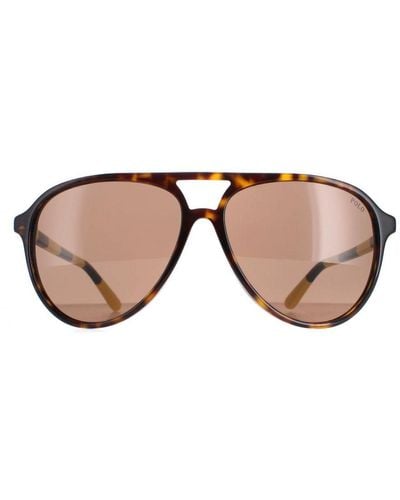 Polo Ralph Lauren Aviator Shiny Dark Havana Sunglasses - Brown