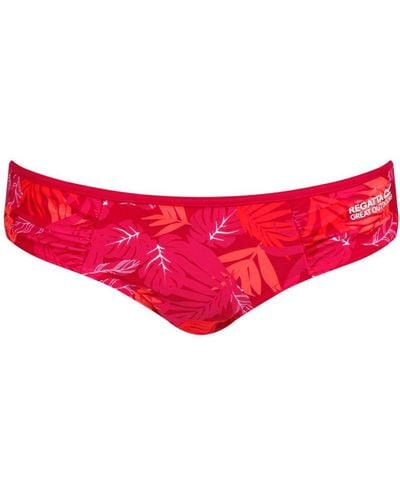 Regatta Grote Buitenvrouwen/ Aceana High Leg Bikini Briefs (donkere Cerise Tropical) - Rood