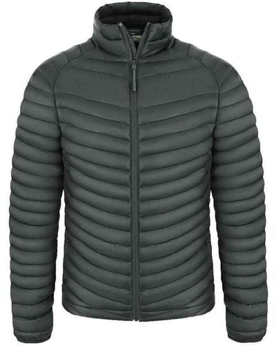 Craghoppers Adult Expert Expolite Thermal Jacket (Carbon) - Green