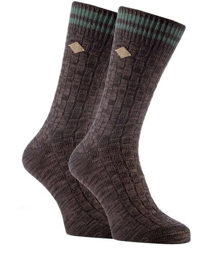 Farah 2 Pack Thick Cotton Chunky Knitted Formal Boot Socks - Brown