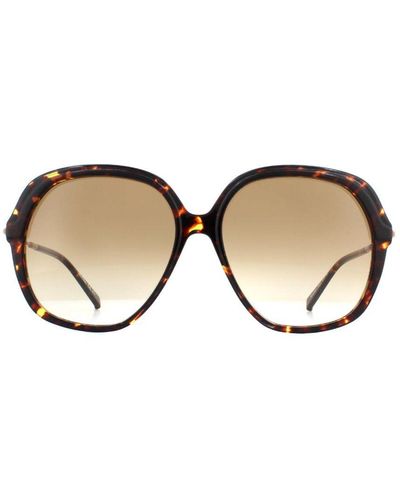 Max Mara Cat Eye Havana Gradient Sunglasses - Brown