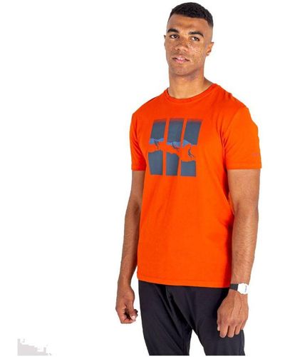 Dare 2b Relic Bergbeklimming T-shirt (verbrande Zalm) - Oranje