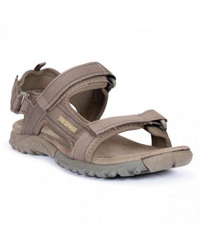 Trespass Alderley Active Sandals (Brindle) - Brown