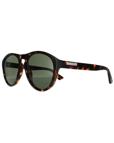 Gucci Aviator Havana Sunglasses - Black