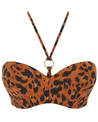 Freya Roar Instinct Bandeau Bikini Top Leopard - Brown
