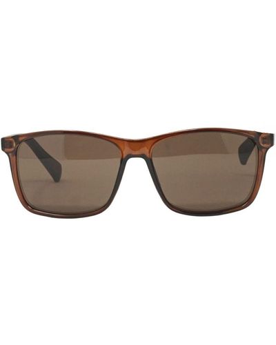 Calvin Klein Ck19568S 210 Sunglasses - Brown