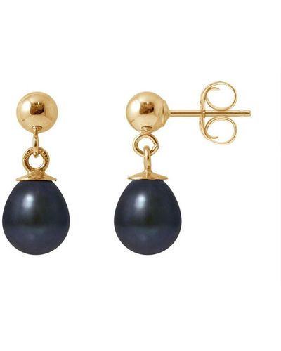 Blue Pearls 750/1000 Geelgouden Oorbellen Met Zwarte Zoetwaterparels - Meerkleurig