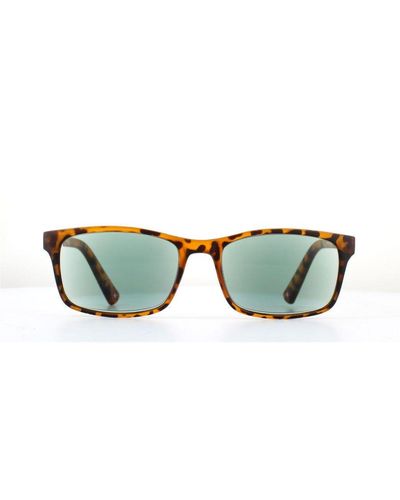 Montana Rectangle Havana Readers +2.50 Sunglasses - Green