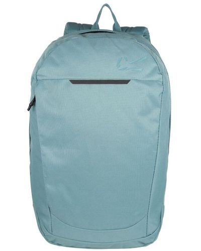 Regatta Backpack (Ivy Moss) - Blue