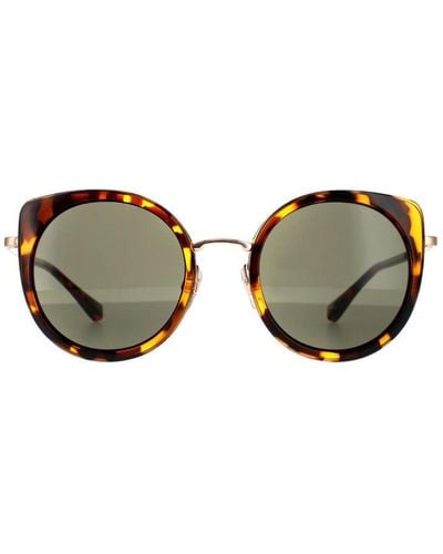 Ted Baker Cat Eye Shiny Copper Gradient Sunglasses - Brown