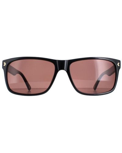 Duck and Cover Sunglasses Dcs026 C1 - Brown