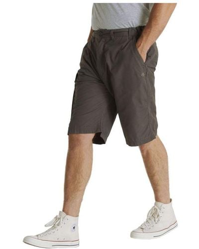 Craghoppers Kiwi Long Length Shorts (Bark) - Grey