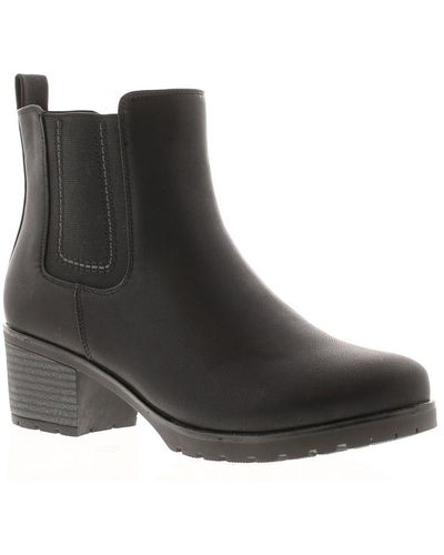Platino Ankle Boots Chelford Zip - Black