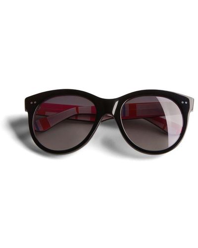 Ted Baker Manhatn Printed Sunglasses - Brown