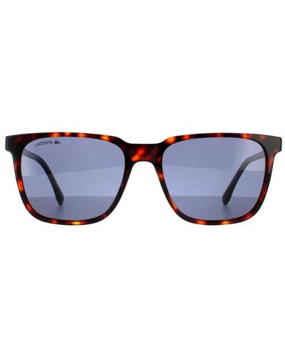 Lacoste Square Havana Solid Sunglasses - Blue