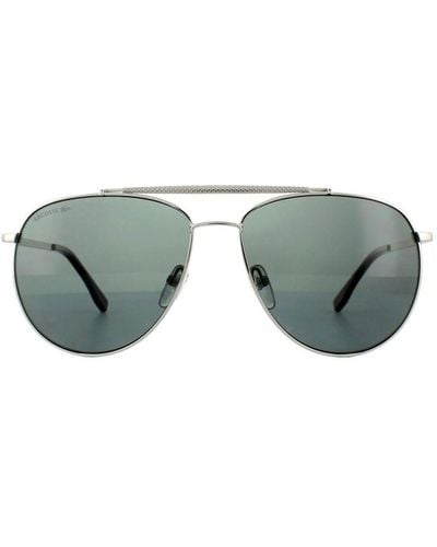 Lacoste Luxurious Aviator Polarized Sunglasses - Grey
