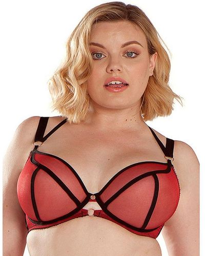 Curvy Kate St3311 Scantilly By Knock Out Plunge Bra - Red