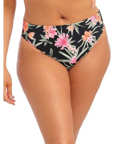 Elomi 800172 Dark Tropics Bikini Briefs - Multicolour