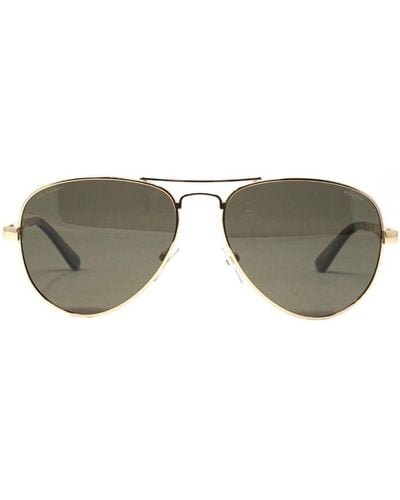 Police Splc15 300P Sunglasses - Grey