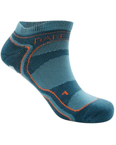 Dare 2b Hex Athleisure Ankle Socks (Orion/Burnt) - Blue