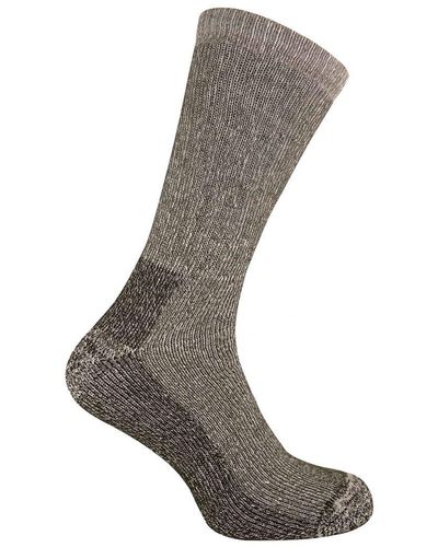 Sock Snob 2 Pack Breathable Cushioned Heel And Toe Thermal Wool Hiking Socks - Grey