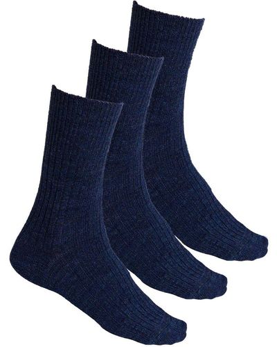 Steve Madden 3 Pairs Multipack Alpaca Wool Socks - Blue