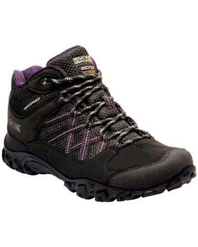 Regatta Ladies Edgepoint Waterproof Walking Boots (/Prune) - Black