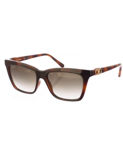 Ferragamo Square Shaped Acetate Sunglasses Sf1027S - Brown