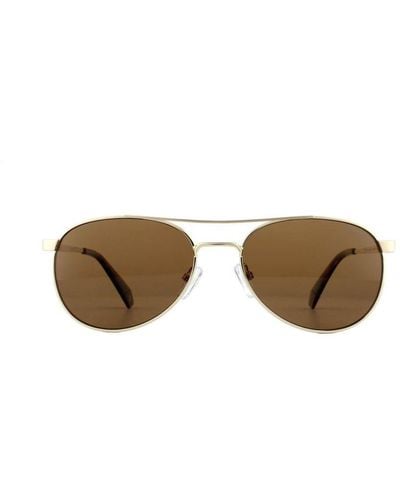 Polaroid Aviator Bronze Polarized Sunglasses Metal - Metallic