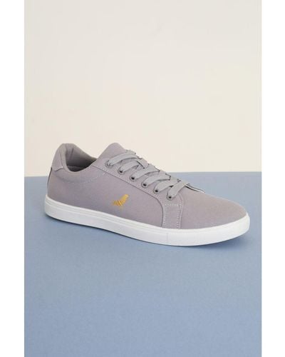 Brave Soul Grey 'kite' Canvas Lace Up Trainers - Blue