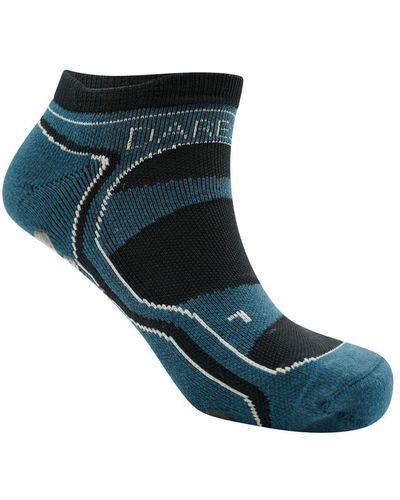 Dare 2b Hex Athleisure Ankle Socks (/Orion) - Blue