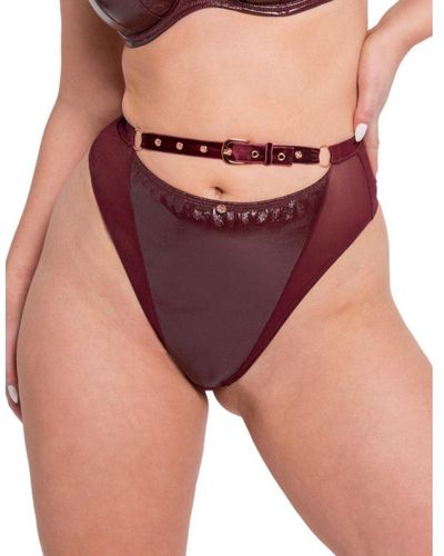 Curvy Kate St015212 Buckle Up High Waist Thong - Purple