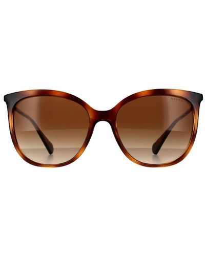 Ralph Lauren By Butterfly Shiny Dark Havana Gradient Sunglasses - Brown