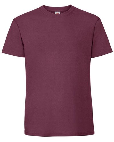 Fruit Of The Loom Iconic Premium Ringspun Cotton T-Shirt () - Purple