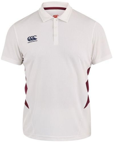 Canterbury Wicking Ccc Logo Cricket Polo Shirt - White