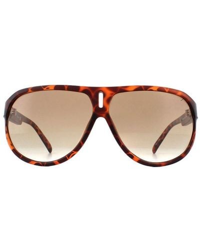 Guess Aviator Tortoise Gradient Sunglasses - Brown