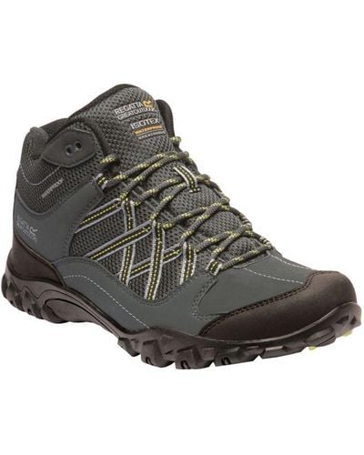 Regatta Edgepoint Mid Waterproof Hiking Shoes - Brown