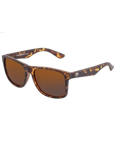 Sixty One Solaro Polarized Sunglasses - Brown