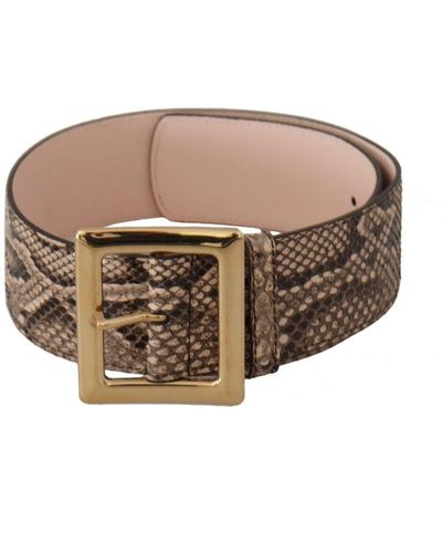 Dolce & Gabbana Exotic Leather Wide Metal Buckle Belt - Brown