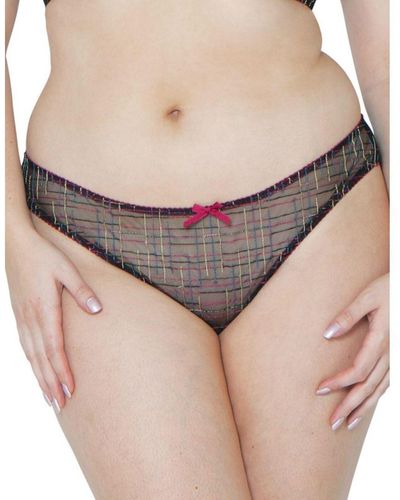 Curvy Kate Ck100420202 Check Me Out Brazilian Brief - Brown